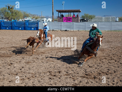 Verkauft, Arizona - das Team roping Wettbewerb in der Master-Klasse (ab 40 Jahren) der Tohono O' odham Nation alle indischen Rodeo. Stockfoto