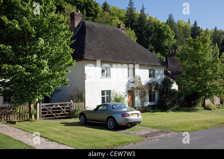 Reetdachhaus, Milton Abbas, Dorset, England Stockfoto