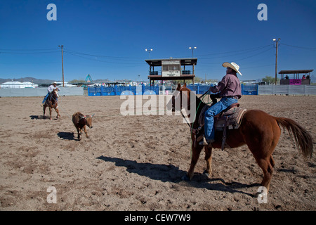 Verkauft, Arizona - das Team roping Wettbewerb in der Master-Klasse (ab 40 Jahren) der Tohono O' odham Nation alle indischen Rodeo. Stockfoto