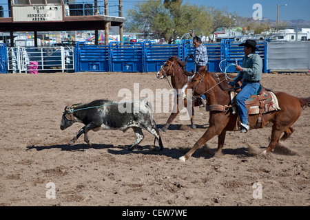 Verkauft, Arizona - das Team roping Wettbewerb in der Master-Klasse (ab 40 Jahren) der Tohono O' odham Nation alle indischen Rodeo. Stockfoto