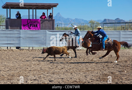 Verkauft, Arizona - das Team roping Wettbewerb in der Master-Klasse (ab 40 Jahren) der Tohono O' odham Nation alle indischen Rodeo. Stockfoto