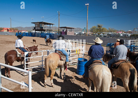 Verkauft, Arizona - der Wettbewerb in der Master-Klasse (ab 40 Jahren) der Tohono O' odham Nation alle indischen Rodeo roping Kalb. Stockfoto