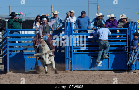 Verkauft, Arizona - das Bullenreiten Wettbewerb in der Master-Klasse (ab 40 Jahren) der Tohono O' odham Nation alle indischen Rodeo. Stockfoto