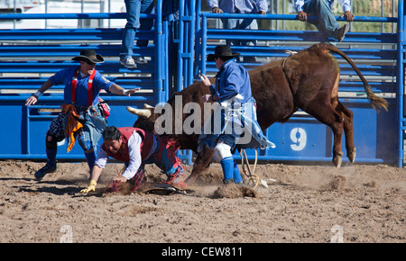 Verkauft, Arizona - das Bullenreiten Wettbewerb in der Master-Klasse (ab 40 Jahren) der Tohono O' odham Nation alle indischen Rodeo. Stockfoto