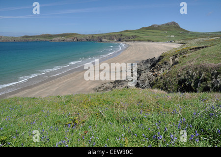 Strand und Küste im Whitesands Bay, Pembrokeshire, Wales, UK Stockfoto