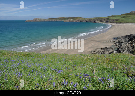 Strand und Küste im Whitesands Bay, Pembrokeshire, Wales, UK Stockfoto