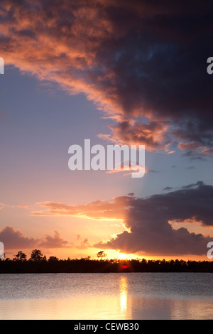 Sonnenuntergang über Sumpf-See-Szene in den Everglades National Park, Florida, USA Stockfoto