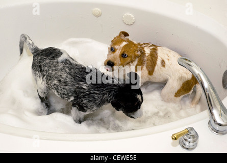 Kinderbadewanne für die dusche