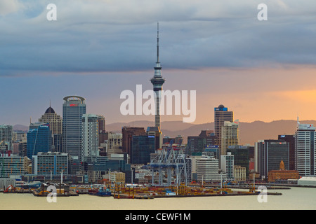 Skyline von Auckand gegenüber dem Hafen der CBD von Mount Victoria, Auckland, Neuseeland Stockfoto