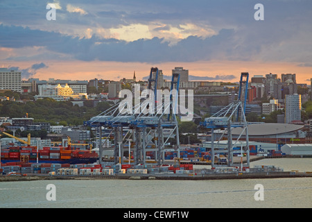 Skyline von Auckand gegenüber dem Hafen der CBD von Mount Victoria, Auckland, Neuseeland Stockfoto