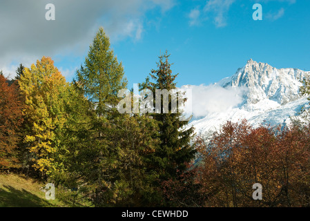 Wald im Herbst, schneebedeckte Berge im Hintergrund Stockfoto