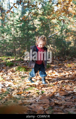 Kleinkind Mädchen zu Fuß im Herbstlaub Stockfoto