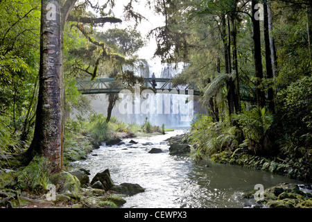 Whangarei fällt auf dem Hatea River, North Island, Neuseeland. Stockfoto