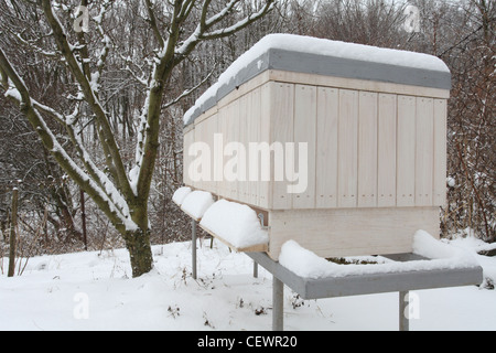 Hölzerne Bienenstöcke fallenden Schnee auf die Imkerei in der Slowakei. Stockfoto