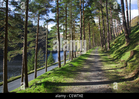 Elan-Tal. Das Elan Anwesen ist im Besitz von D? R Cymru Welsh Water. Stockfoto