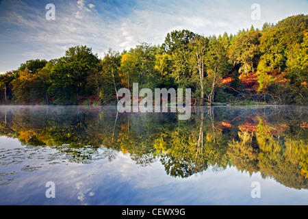 Überlegungen zum Cannop Teich im Forest of Dean. Stockfoto