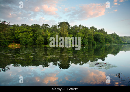 Überlegungen zum Cannop Teich im Forest of Dean. Stockfoto