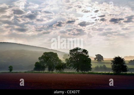Nebel über Felder am Bigswier auf der Gloucestershire, Monmouthshire Grenze. Stockfoto