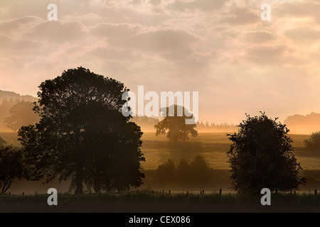 Nebel über Felder am Bigswier auf der Gloucestershire, Monmouthshire Grenze. Stockfoto