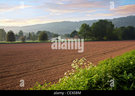 Bigswier, bekannt für seine eleganten Guss Eisen-Straßenbrücke über die Grenze zwischen Gloucestershire und Monmouthshire. Stockfoto