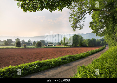 Bigswier, bekannt für seine eleganten Guss Eisen-Straßenbrücke über die Grenze zwischen Gloucestershire und Monmouthshire. Stockfoto