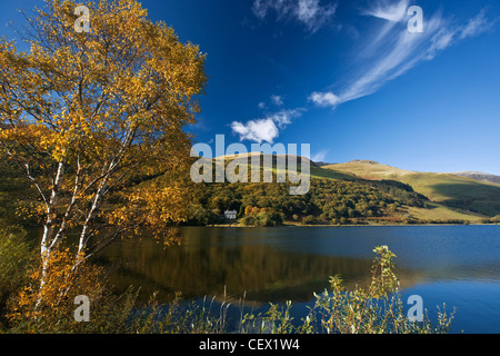 Tal-y-Llyn See am Fuße des Cadair Idris in der Snowdonia Bergkette. Stockfoto