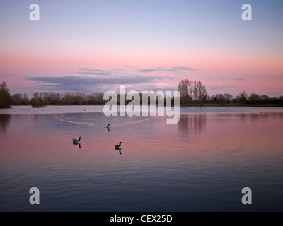 Winter-Sonnenuntergang über Mallard See am unteren Moor Farm Nature Reserve. Unteren Moor Farm ist der Wiltshire Wildlife Trust Versuch Stockfoto