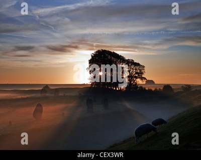 Sonnenaufgang über dem Avebury Stone Circle, einer von Europas größten prähistorischen Steinkreise, an einem nebligen Herbsttag. Stockfoto