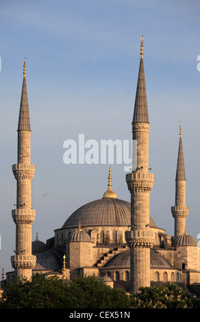Türkei; Istanbul; Blaue Moschee Sultan Ahmet Camii; Stockfoto