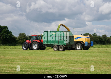 Mäht Rasen für Heu im Blakehill Naturreservat. Stockfoto