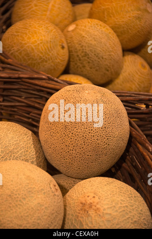 Cantaloupe Melonen in Körben auf dem lokalen Markt. Stockfoto