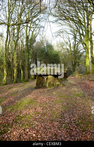 Gwal y Filiast, neolithische Grab, Carmarthenshire, West Wales, UK Stockfoto