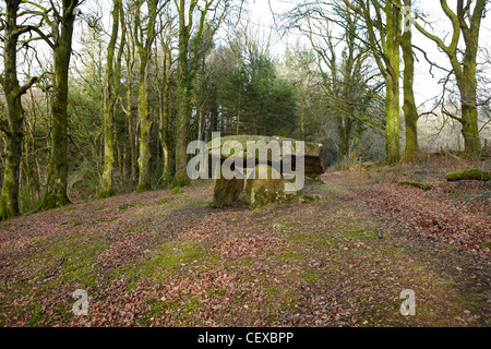 Gwal y Filiast, neolithische Grab, Carmarthenshire, West Wales, UK Stockfoto