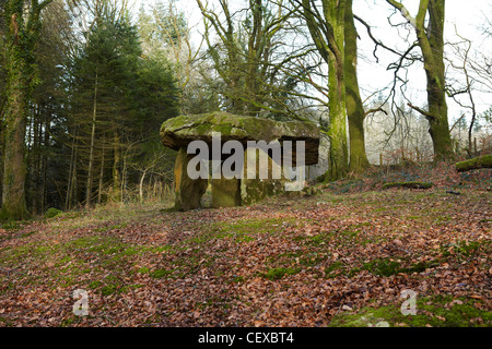 Gwal y Filiast, neolithische Grab, Carmarthenshire, West Wales, UK Stockfoto