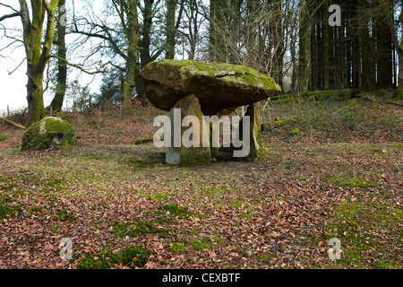 Gwal y Filiast, neolithische Grab, Carmarthenshire, West Wales, UK Stockfoto