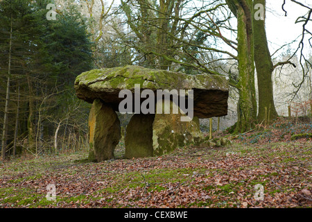 Gwal y Filiast, neolithische Grab, Carmarthenshire, West Wales, UK Stockfoto