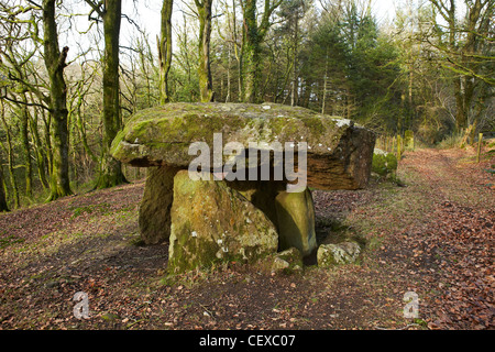 Gwal y Filiast, neolithische Grab, Carmarthenshire, West Wales, UK Stockfoto