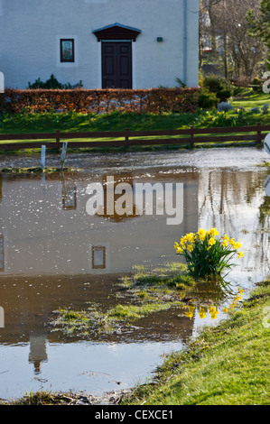 Hochwasser von River Spey umgibt Anwesen in Garmouth, Schottland im April 2010 wegen schweren Schnee schmelzen. Stockfoto