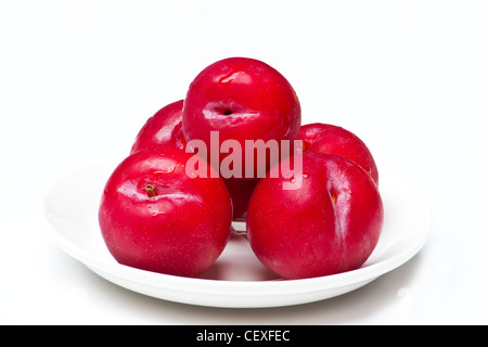 Frische Pflaumen in weißer Teller auf weißem Hintergrund Stockfoto