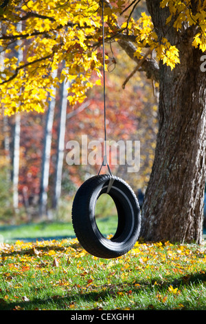 Reifenschaukel im Herbst Stockfoto