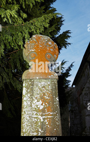 Das Kreuz von Nevern. Ein mittelalterlichen keltischen christlichen Steinkreuz, St. Brynach Kirche, Nevern, Pembrokeshire, Wales, UK Stockfoto