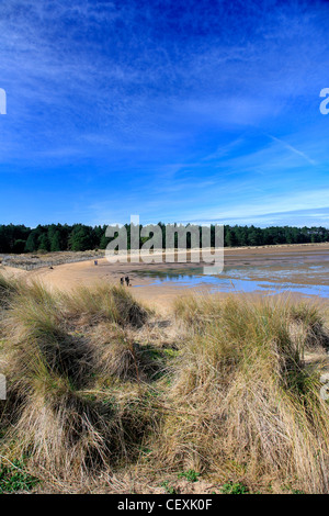 Sanddünen auf Holkham Bay Beach Peddars Weise North Norfolk Coastal Path, Holkham Dorf, die Küste von North Norfolk, England, UK Stockfoto