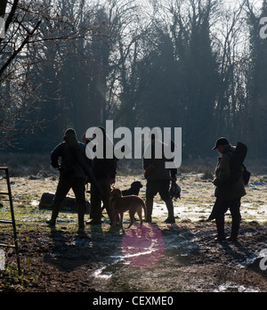 Partei schießen ihre Heringe zu bereiten Stockfoto