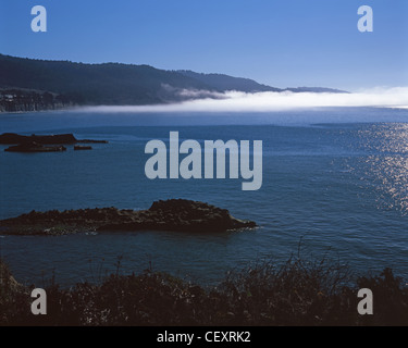 Ano Nuevo State Reserve, San Mateo County, Kalifornien Stockfoto