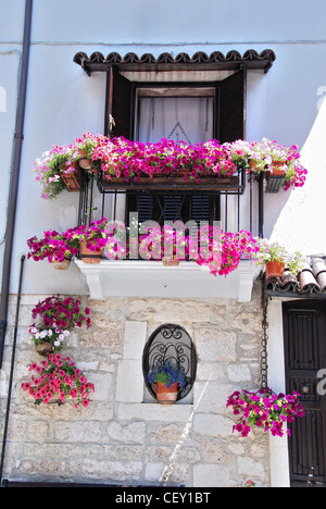 Italia Italien Italie Abruzzen Pescasseroli Balcone Fiori Gerani Balkon Blumen Geranien Fleurs Balcon Flores Geranios Stockfoto