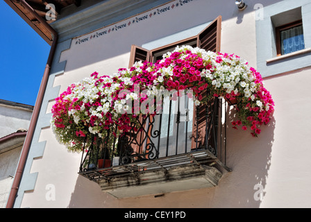 Italia Italien Italie Abruzzen Pescasseroli Balcone Fiori Gerani Balkon Blumen Geranien Fleurs Balcon Flores Geranios Stockfoto