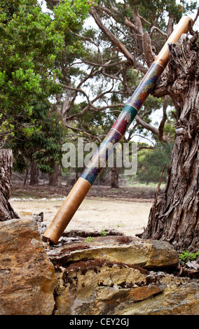 Didgeridoo, indigenen australischen Wind Musikinstrumente, lehnt sich lässig an gefallenen Baumstamm. Stockfoto