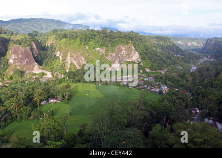 Reisfelder in den Sianok Canyon. Bukittinggi, West-Sumatra, Indonesien, Südostasien, Asien Stockfoto