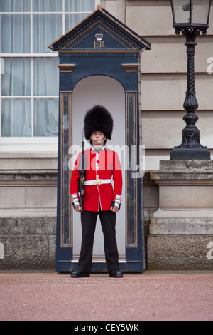 Ein Blick auf die Königinnenwache auf Wache vor Buckingham Palast Stockfoto