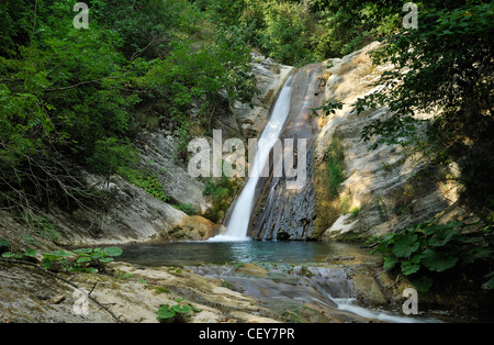 Wasserfall am kleinen Bach im grünen Sommer Wald Stockfoto